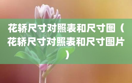 花轿尺寸对照表和尺寸图（花轿尺寸对照表和尺寸图片）