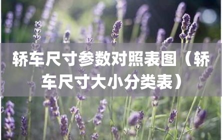 轿车尺寸参数对照表图（轿车尺寸大小分类表）