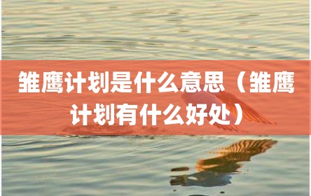 雏鹰计划是什么意思（雏鹰计划有什么好处）