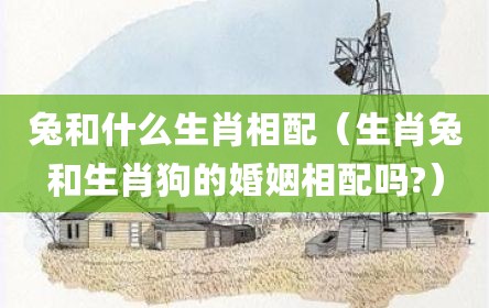 兔和什么生肖相配（生肖兔和生肖狗的婚姻相配吗?）