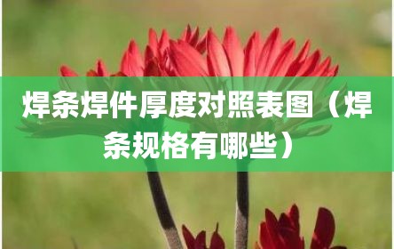 焊条焊件厚度对照表图（焊条规格有哪些）