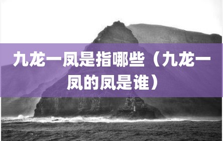 九龙一凤是指哪些（九龙一凤的凤是谁）