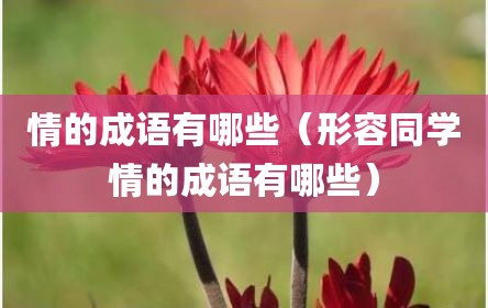 情的成语有哪些（形容同学情的成语有哪些）