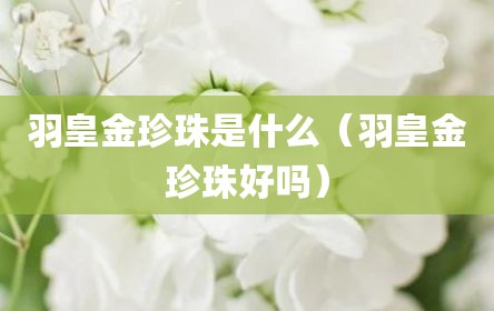 羽皇金珍珠是什么（羽皇金珍珠好吗）