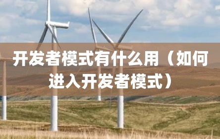 开发者模式有什么用（如何进入开发者模式）