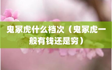 鬼冢虎什么档次（鬼冢虎一般有钱还是穷）
