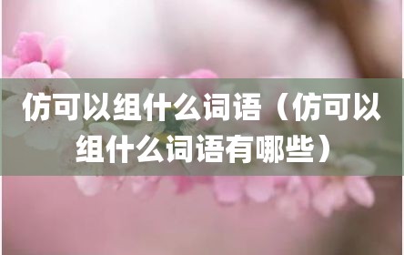 仿可以组什么词语（仿可以组什么词语有哪些）