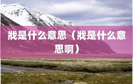 戕是什么意思（戕是什么意思啊）