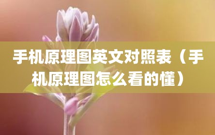 手机原理图英文对照表（手机原理图怎么看的懂）