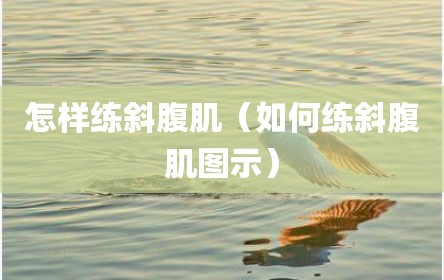 怎样练斜腹肌（如何练斜腹肌图示）