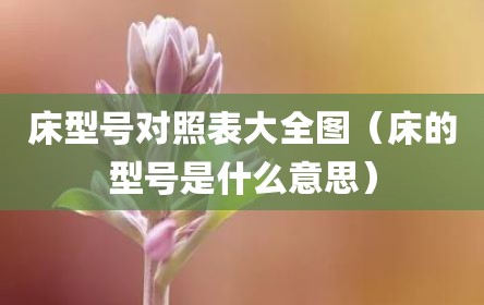床型号对照表大全图（床的型号是什么意思）