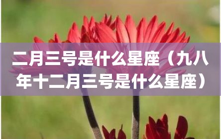 二月三号是什么星座（九八年十二月三号是什么星座）