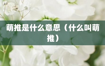 萌推是什么意思（什么叫萌推）