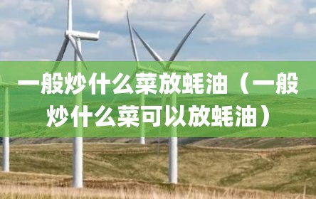 一般炒什么菜放蚝油（一般炒什么菜可以放蚝油）