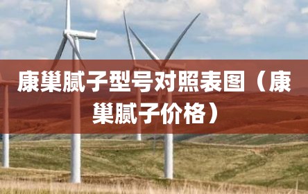 康巢腻子型号对照表图（康巢腻子价格）
