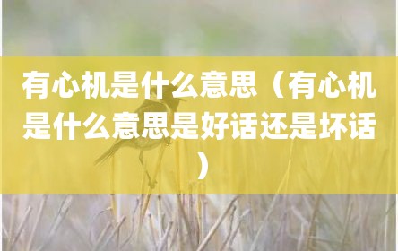 有心机是什么意思（有心机是什么意思是好话还是坏话）