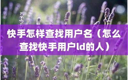 快手怎样查找用户名（怎么查找快手用户ld的人）