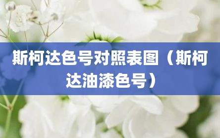 斯柯达色号对照表图（斯柯达油漆色号）