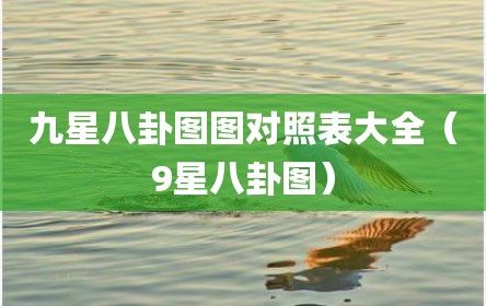 九星八卦图图对照表大全（9星八卦图）