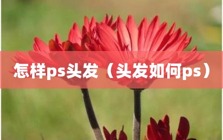 怎样ps头发（头发如何ps）