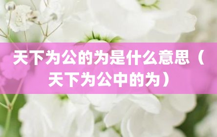 天下为公的为是什么意思（天下为公中的为）