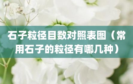 石子粒径目数对照表图（常用石子的粒径有哪几种）