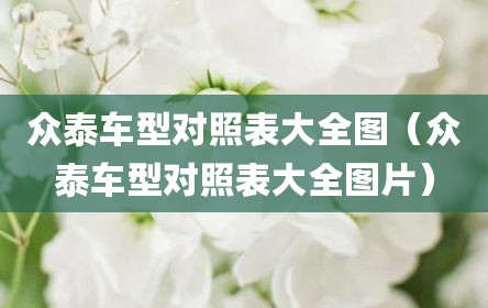 众泰车型对照表大全图（众泰车型对照表大全图片）