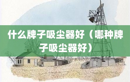 什么牌子吸尘器好（哪种牌子吸尘器好）