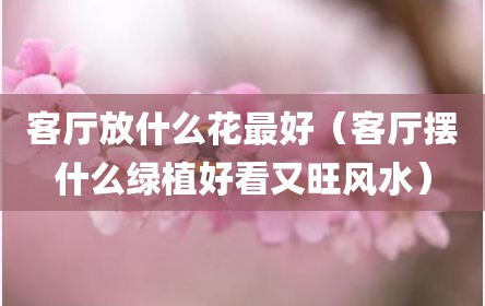 客厅放什么花最好（客厅摆什么绿植好看又旺风水）