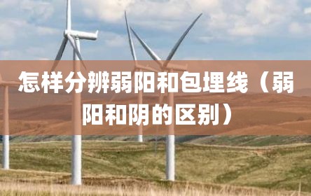 怎样分辨弱阳和包埋线（弱阳和阴的区别）