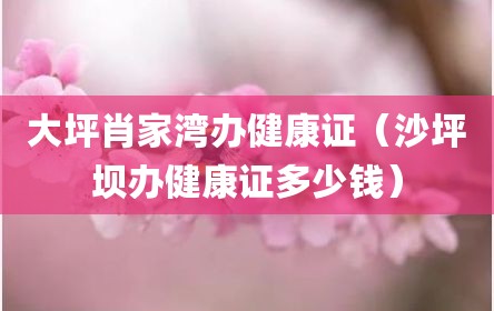 大坪肖家湾办健康证（沙坪坝办健康证多少钱）
