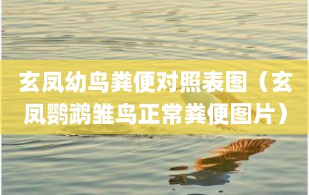 玄凤幼鸟粪便对照表图（玄凤鹦鹉雏鸟正常粪便图片）