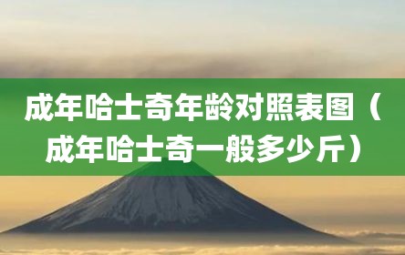 成年哈士奇年龄对照表图（成年哈士奇一般多少斤）