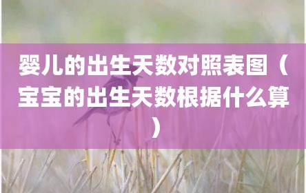 婴儿的出生天数对照表图（宝宝的出生天数根据什么算）