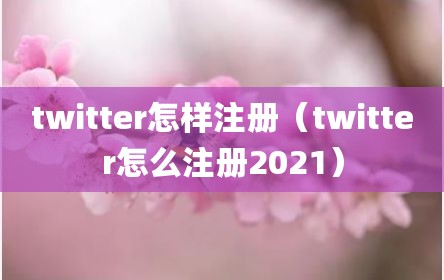 twitter怎样注册（twitter怎么注册2021）