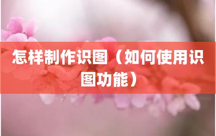 怎样制作识图（如何使用识图功能）
