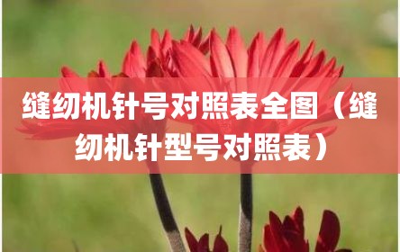 缝纫机针号对照表全图（缝纫机针型号对照表）
