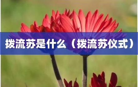 拨流苏是什么（拨流苏仪式）