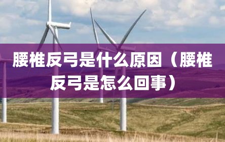腰椎反弓是什么原因（腰椎反弓是怎么回事）