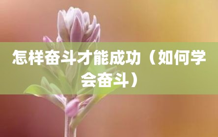 怎样奋斗才能成功（如何学会奋斗）