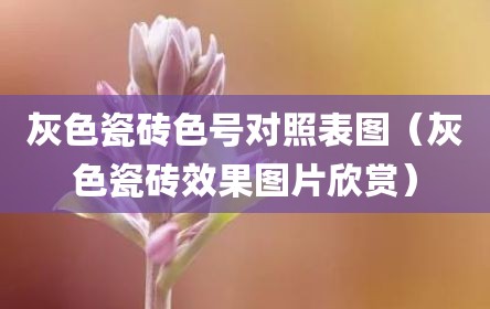 灰色瓷砖色号对照表图（灰色瓷砖效果图片欣赏）
