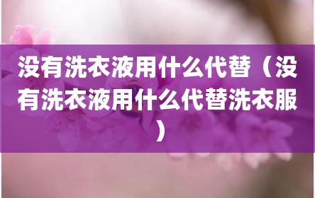 没有洗衣液用什么代替（没有洗衣液用什么代替洗衣服）