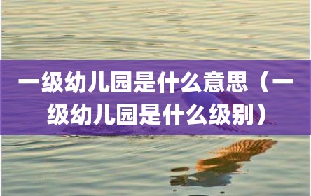 一级幼儿园是什么意思（一级幼儿园是什么级别）