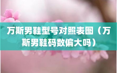 万斯男鞋型号对照表图（万斯男鞋码数偏大吗）