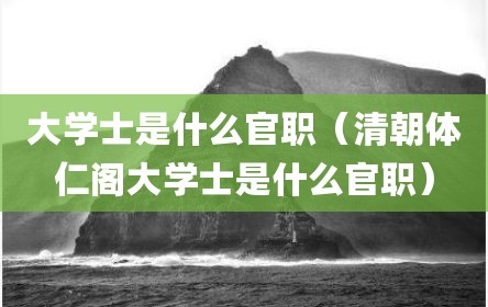 大学士是什么官职（清朝体仁阁大学士是什么官职）