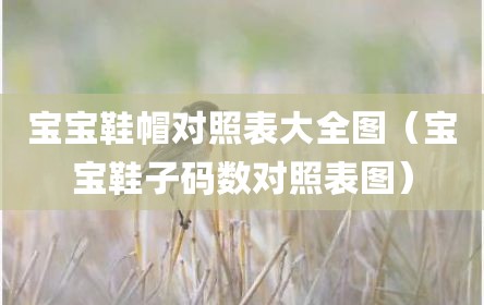 宝宝鞋帽对照表大全图（宝宝鞋子码数对照表图）
