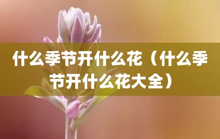 什么季节开什么花（什么季节开什么花大全）