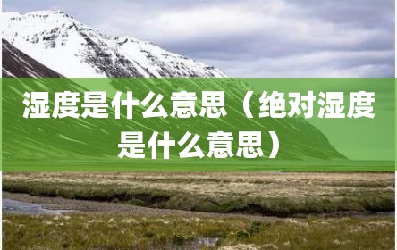 湿度是什么意思（绝对湿度是什么意思）