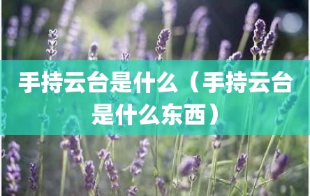 手持云台是什么（手持云台是什么东西）