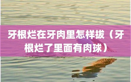 牙根烂在牙肉里怎样拔（牙根烂了里面有肉球）